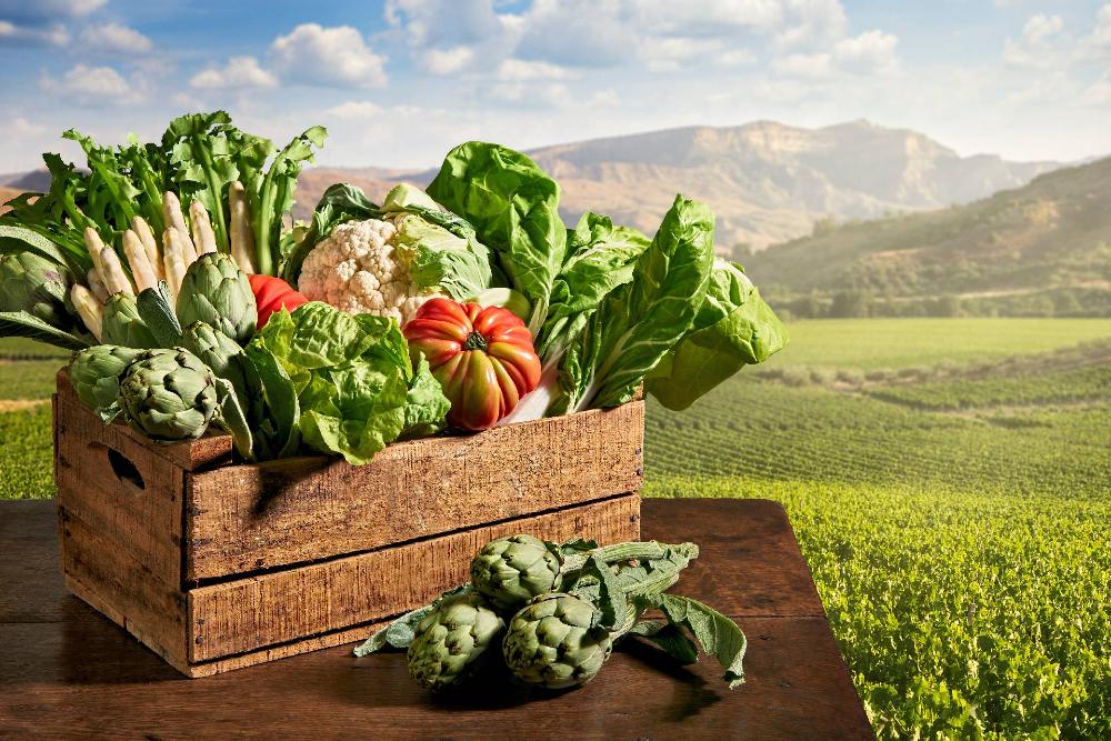 Caja con productos variados de la huerta navarra